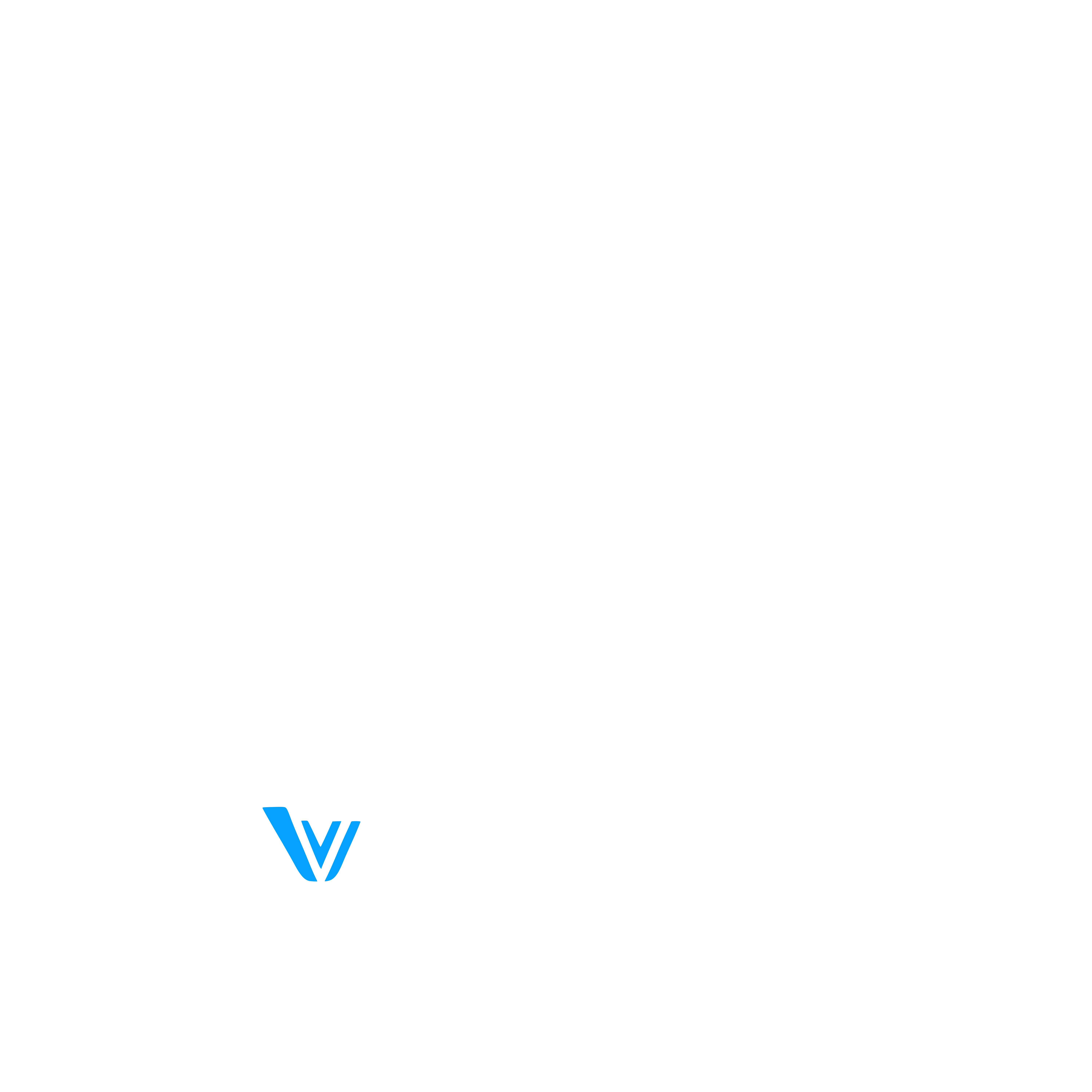 VeriStream Logo